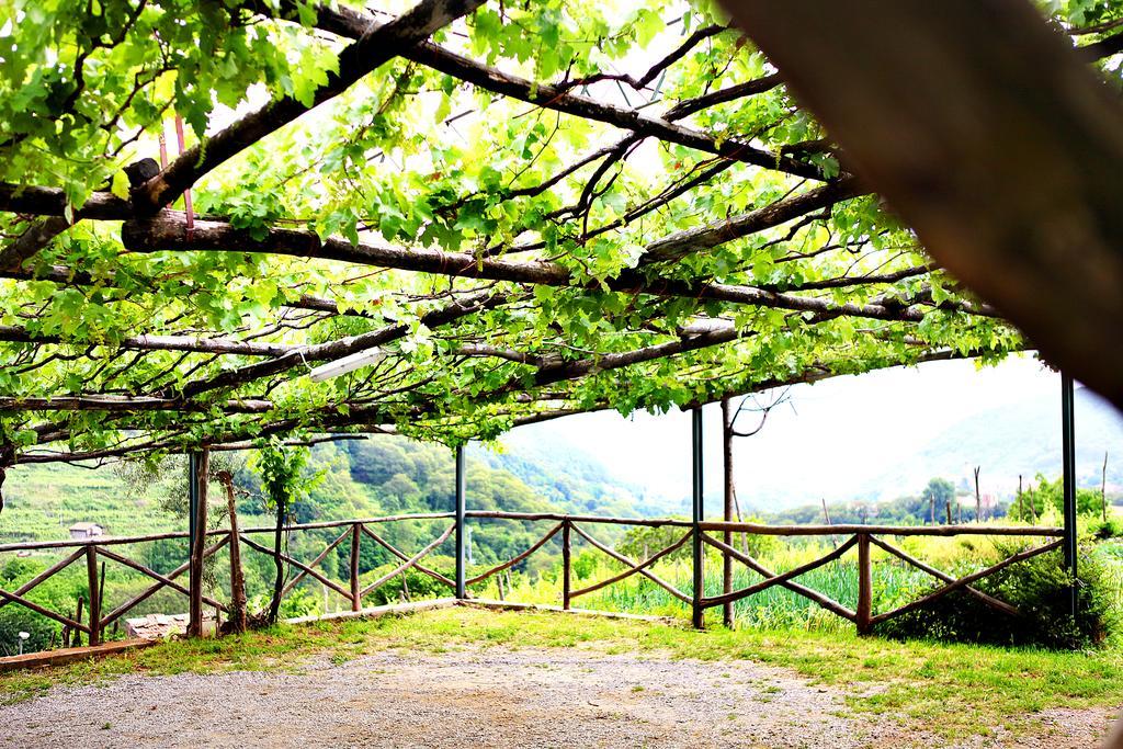Il Raduno Villa Tramonti Ngoại thất bức ảnh