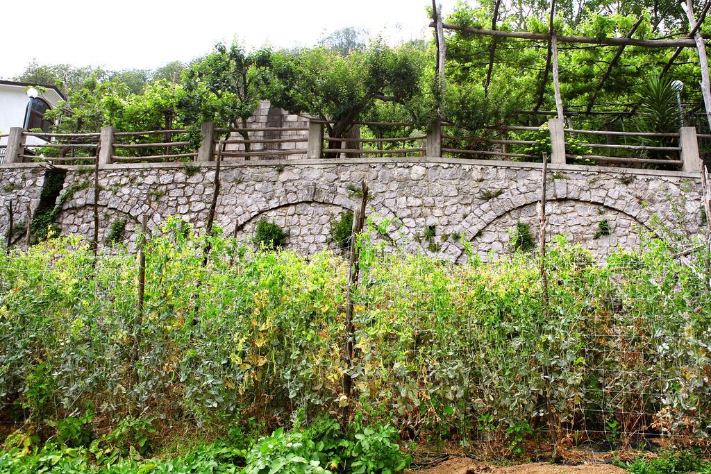 Il Raduno Villa Tramonti Ngoại thất bức ảnh